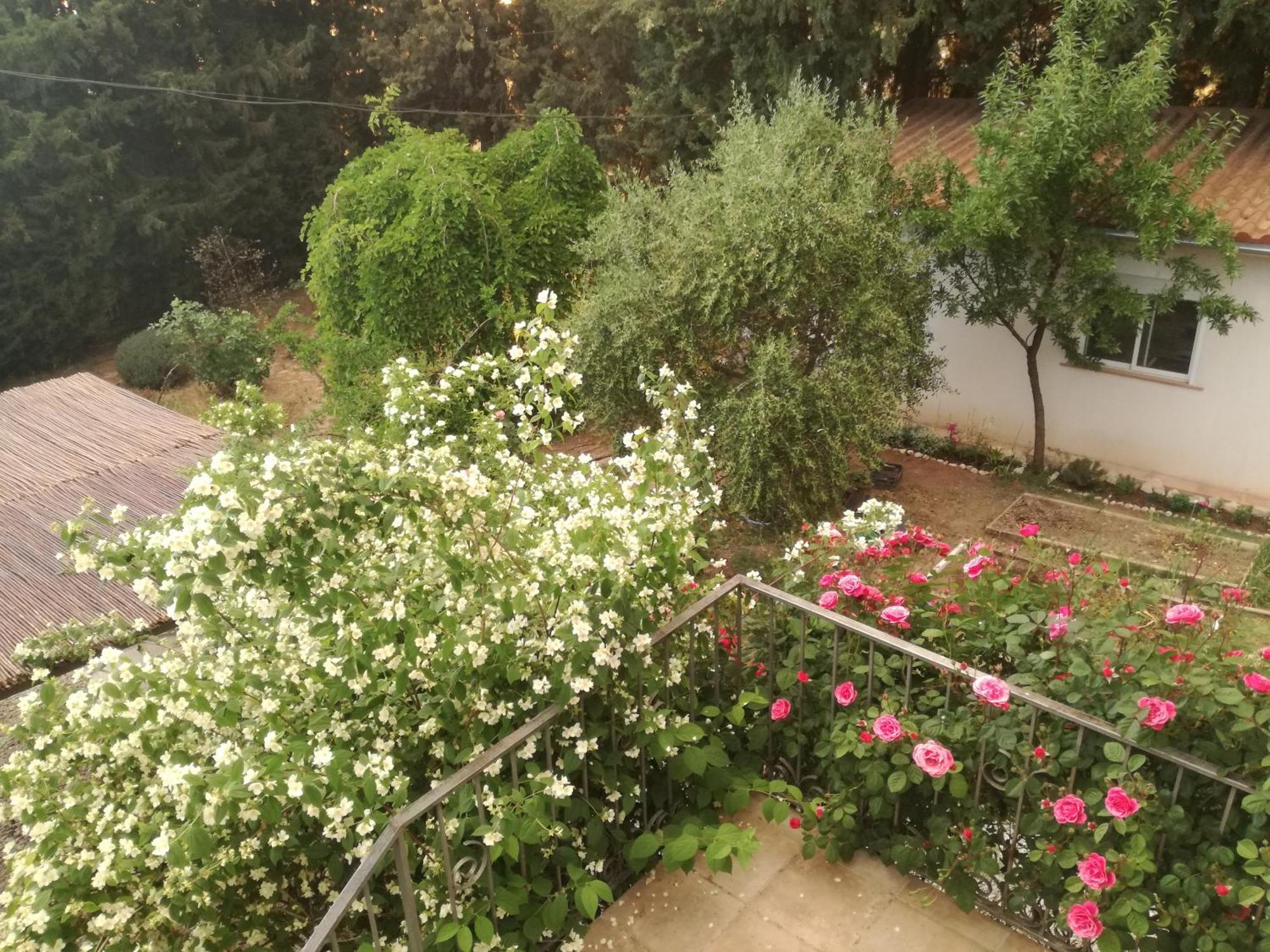 Casa Con Jardin Y Aparcamiento En Viznar, Junto A Granada Villa Dış mekan fotoğraf
