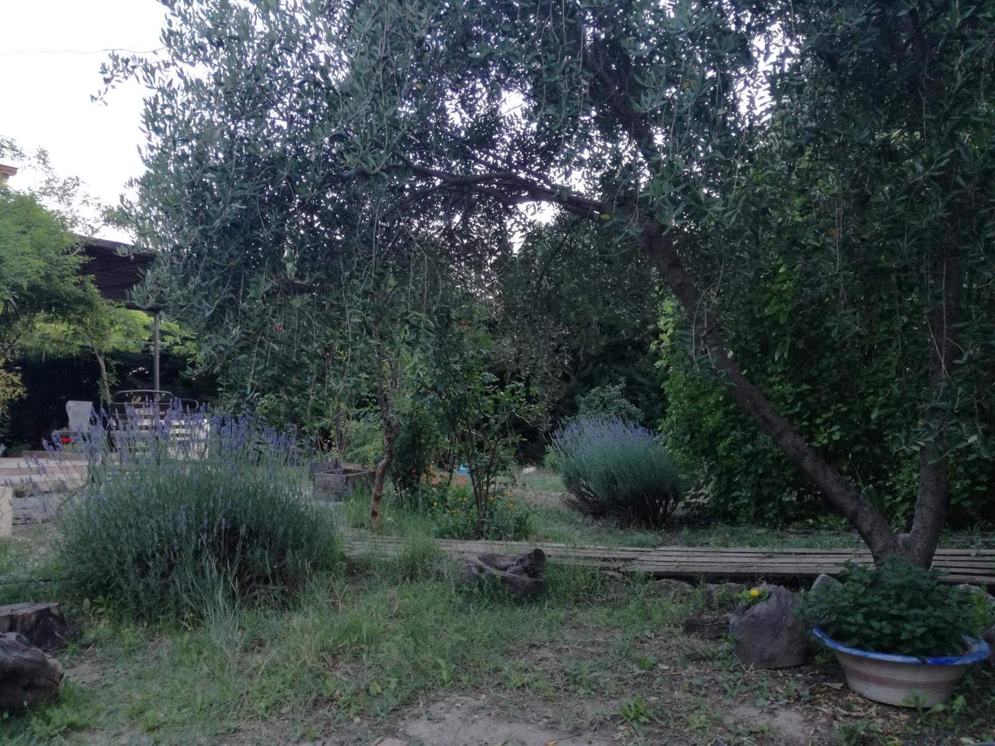 Casa Con Jardin Y Aparcamiento En Viznar, Junto A Granada Villa Dış mekan fotoğraf
