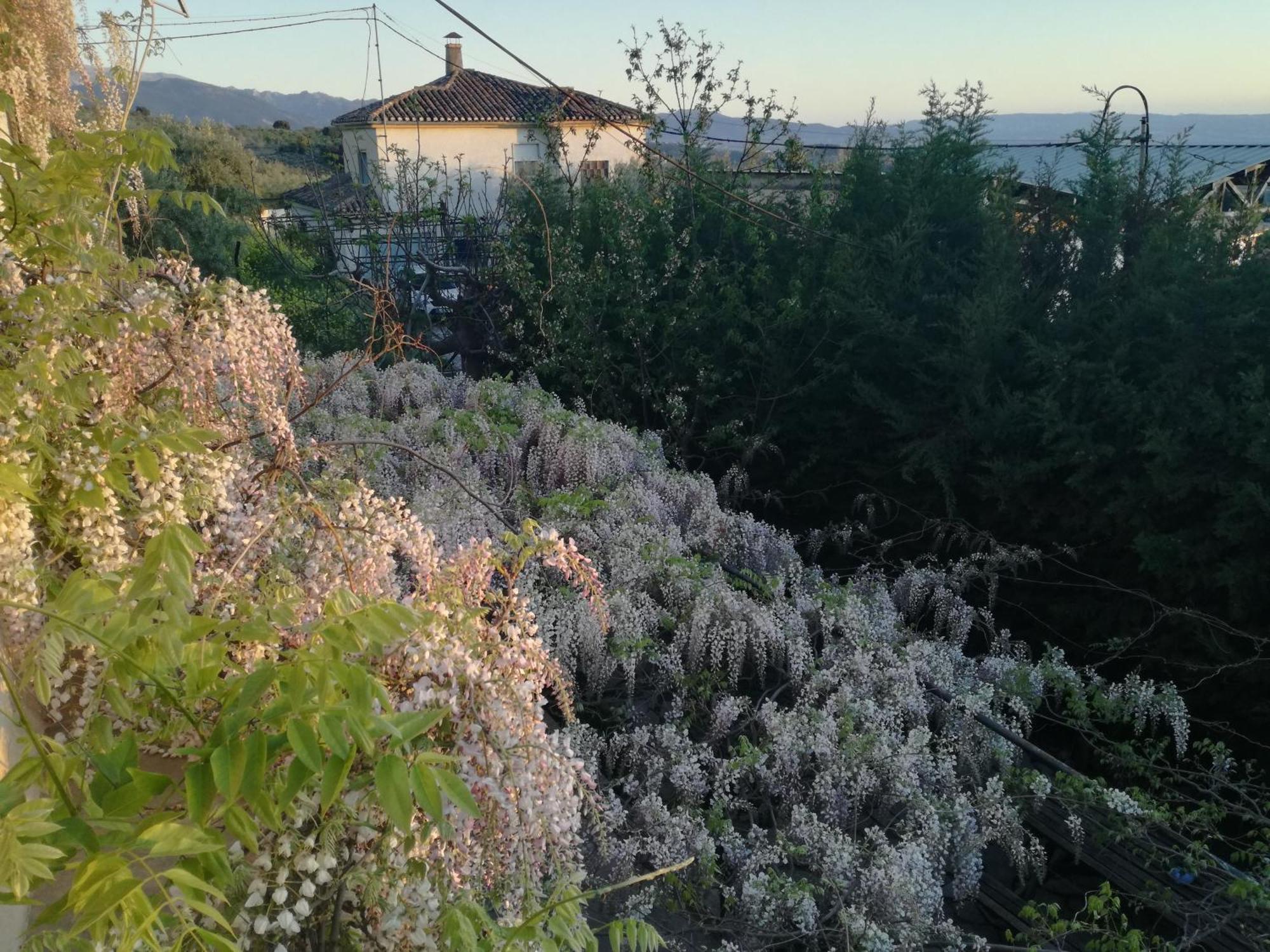 Casa Con Jardin Y Aparcamiento En Viznar, Junto A Granada Villa Dış mekan fotoğraf