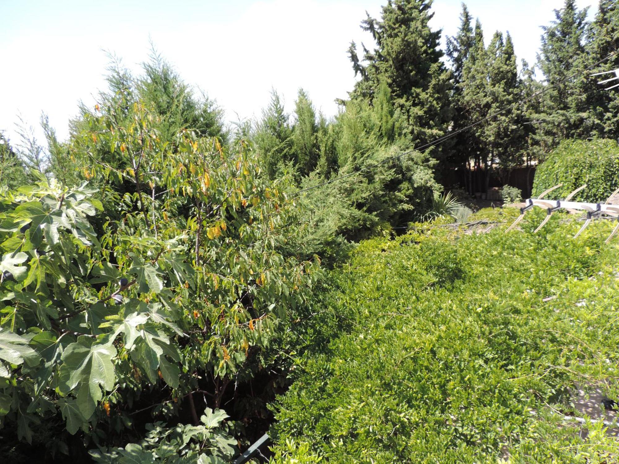 Casa Con Jardin Y Aparcamiento En Viznar, Junto A Granada Villa Dış mekan fotoğraf
